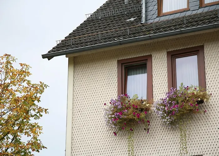 Guest house Gasthof Rhonsicht 2*