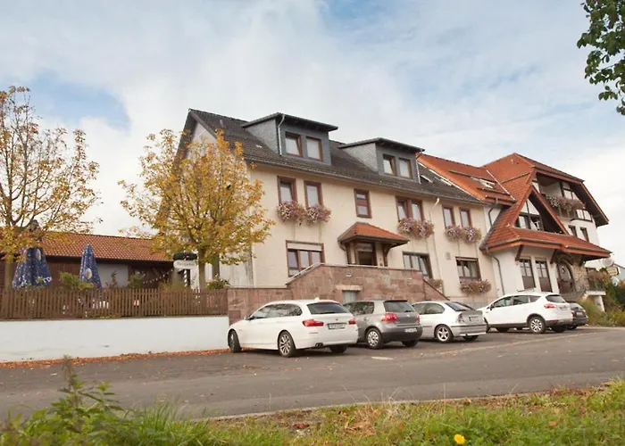 Guest house Gasthof Rhonsicht 2*